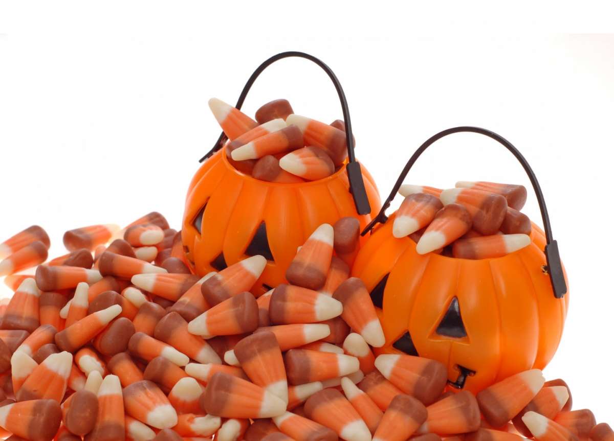 Zucche decorative per feste