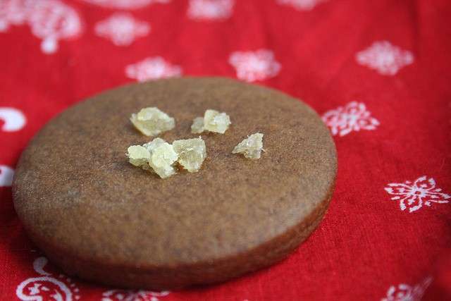 Biscotti di pan di zenzero con canditi