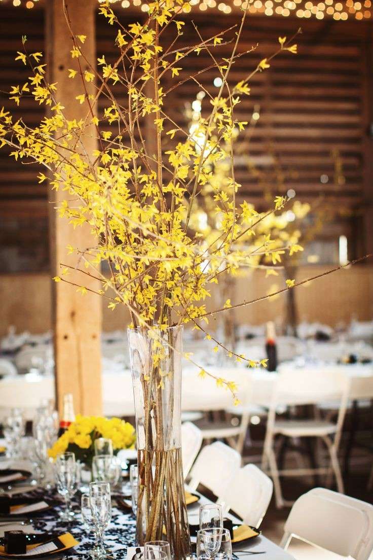 Forsythia per il matrimonio d'inverno