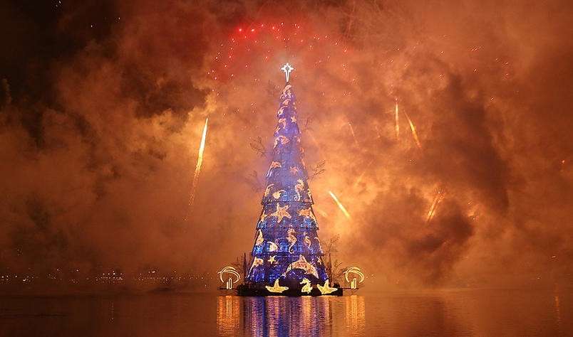 Albero galleggiante a Rio de Janeiro