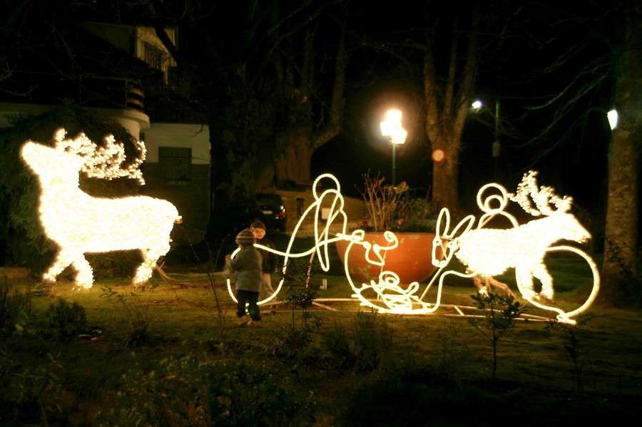 Decorazioni luminose in giardino