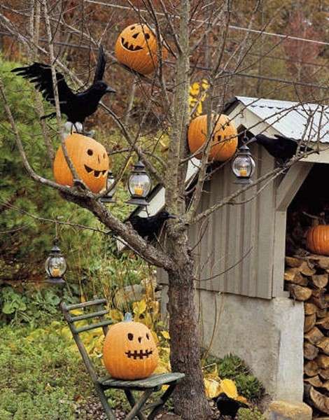 Le zucche di Halloween sugli alberi