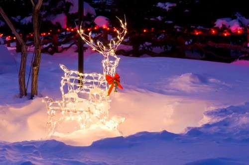 Renne e luci per Natale