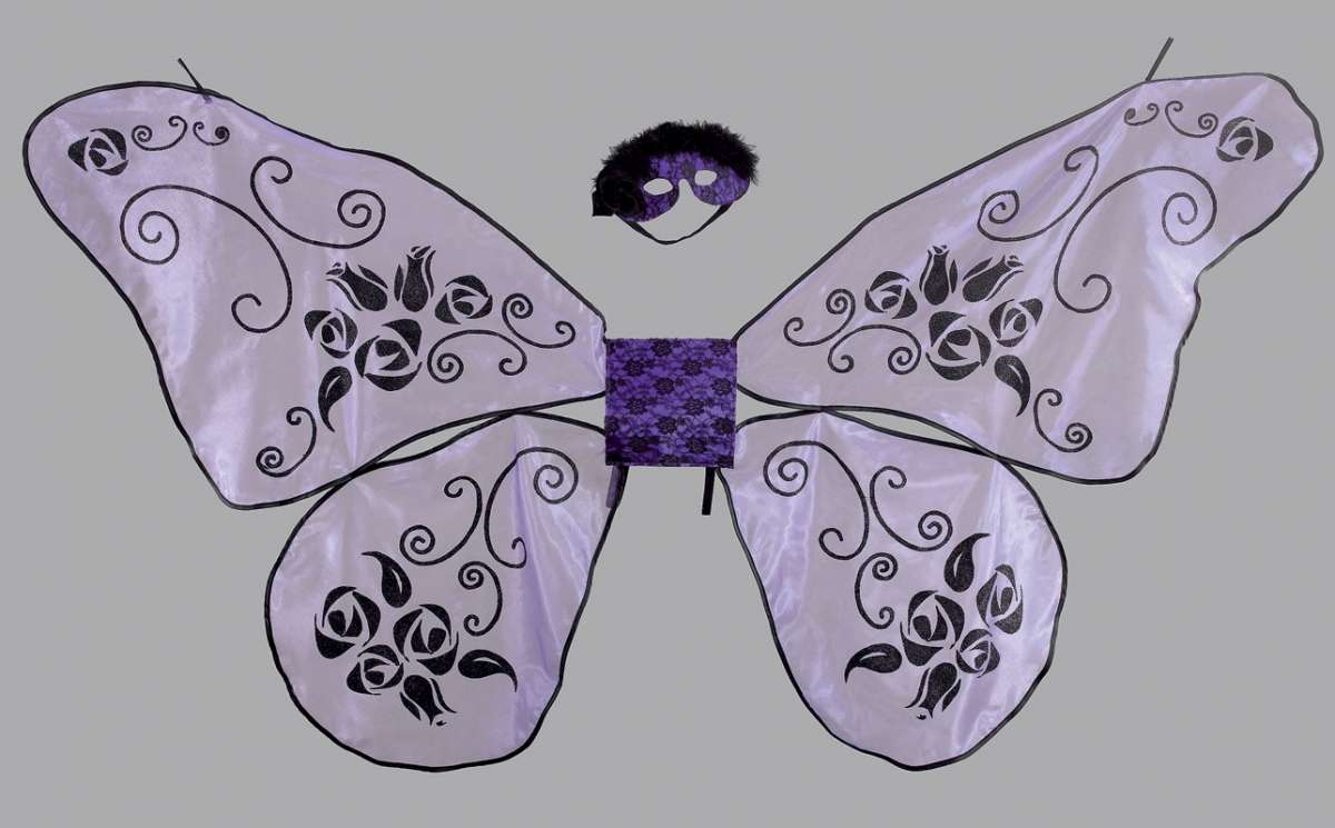 Ali da farfalla decorate con gli stencil