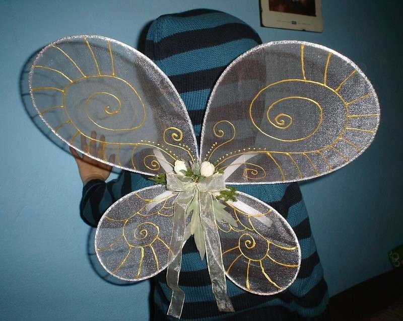 Ali da farfalla trasparenti con inserti oro