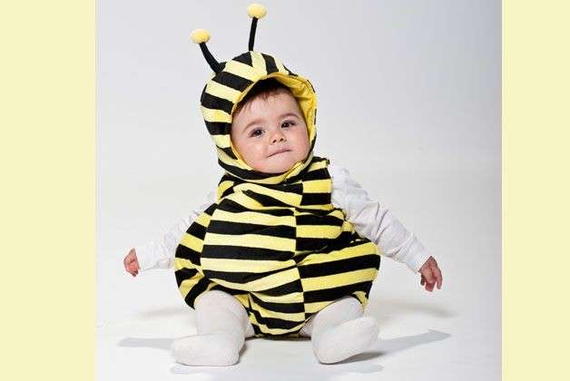 Costume da ape