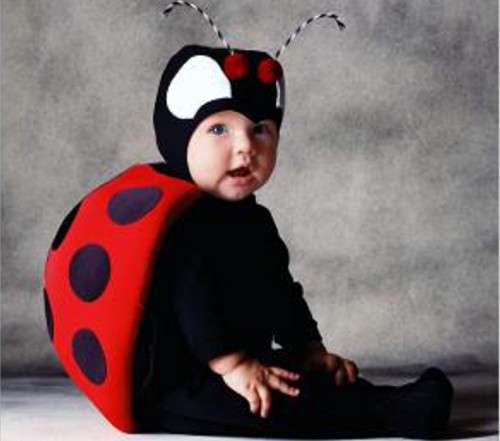 Costume da coccinella