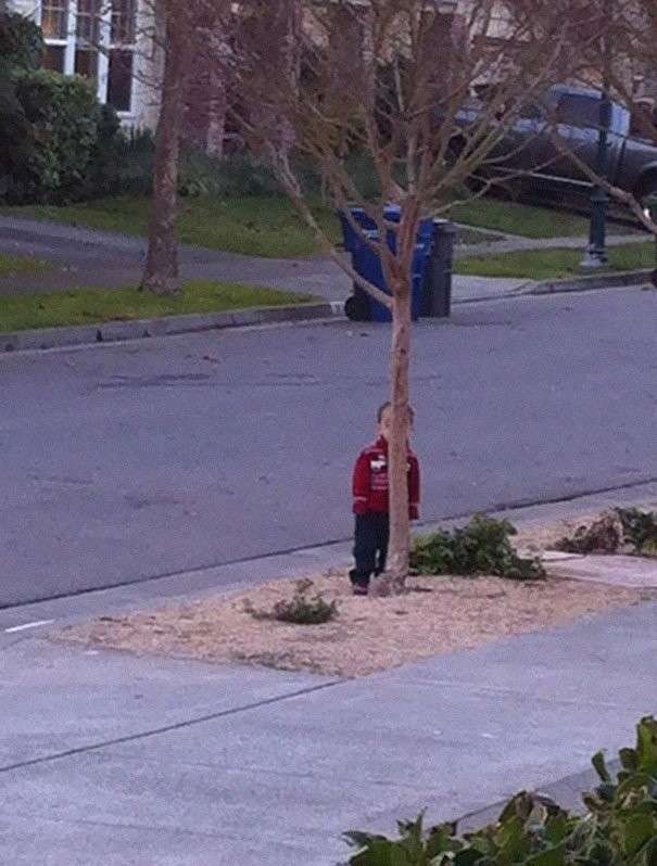 Dietro il tronco dell'albero