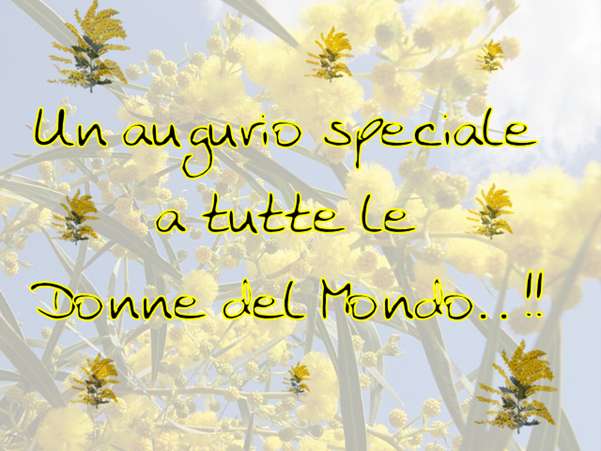 Auguri speciali