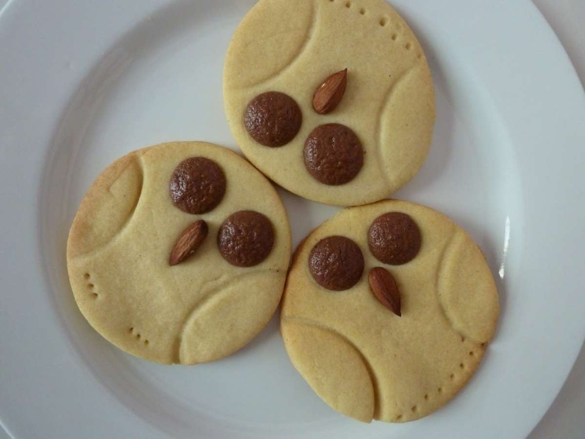 Biscotti con la pasta frolla