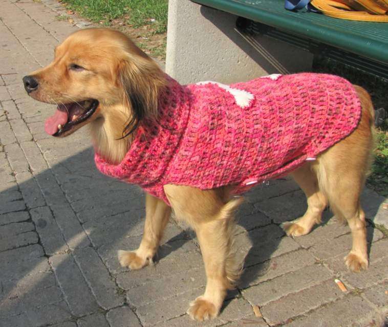 Cappottino rosso per il cane