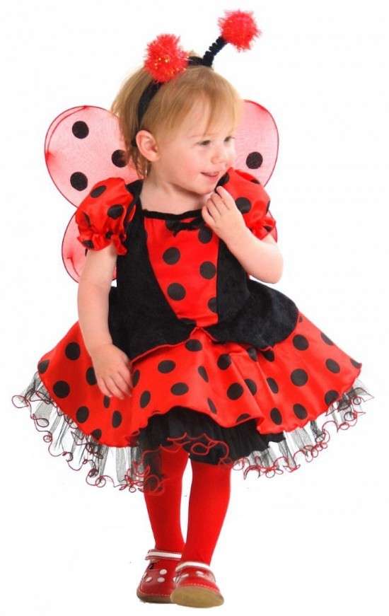 Coccinella
