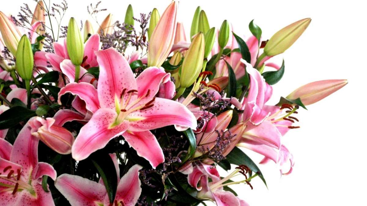 Composizione di fiori rosa per la laurea