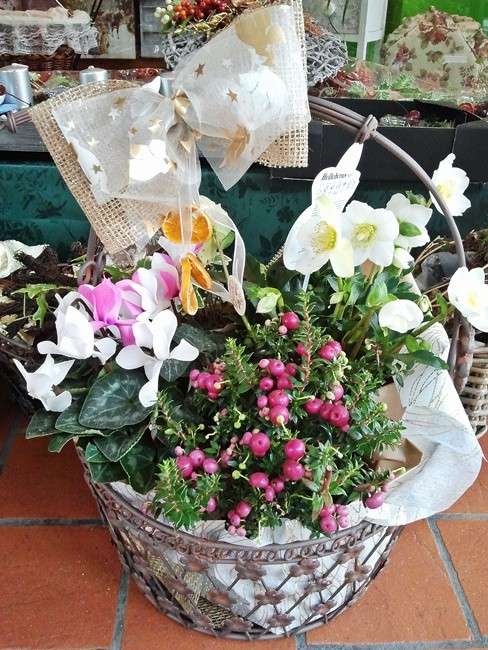 Composizione floreale con bacche per laurea