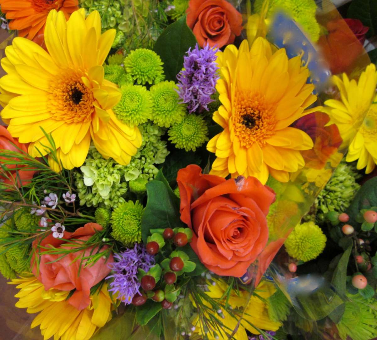 Fiori gialli e arancioni per la laurea