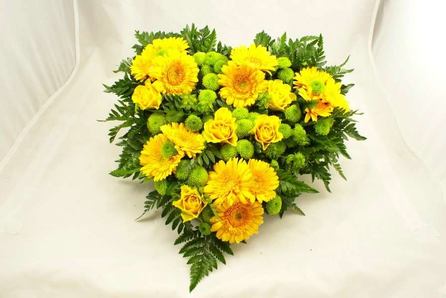 Fiori gialli per la laurea