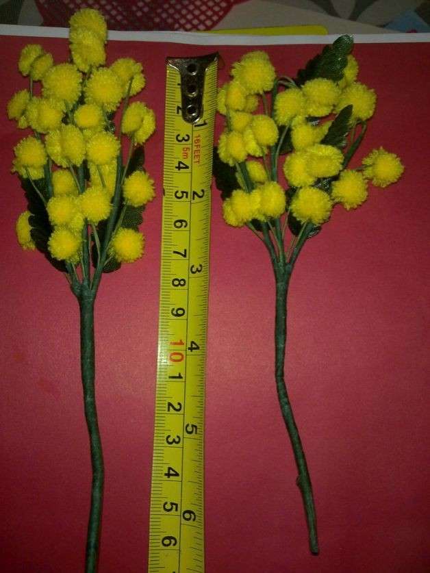 Idee per la Festa della Donna