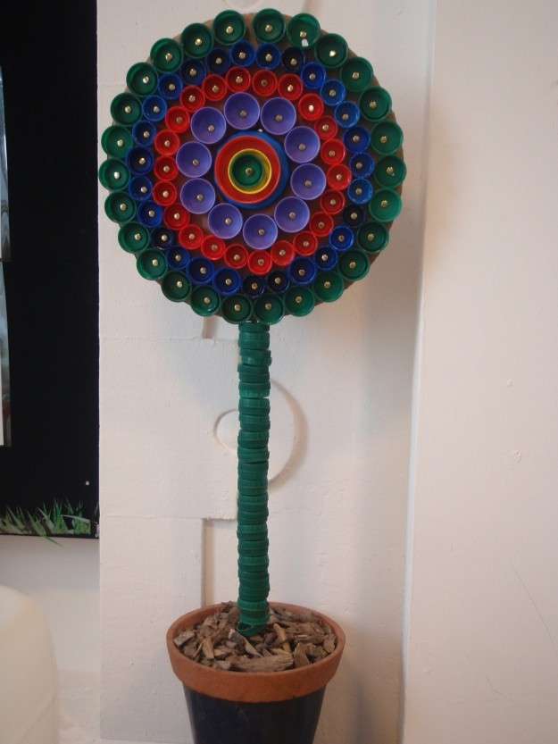 Pianta di bottiglie