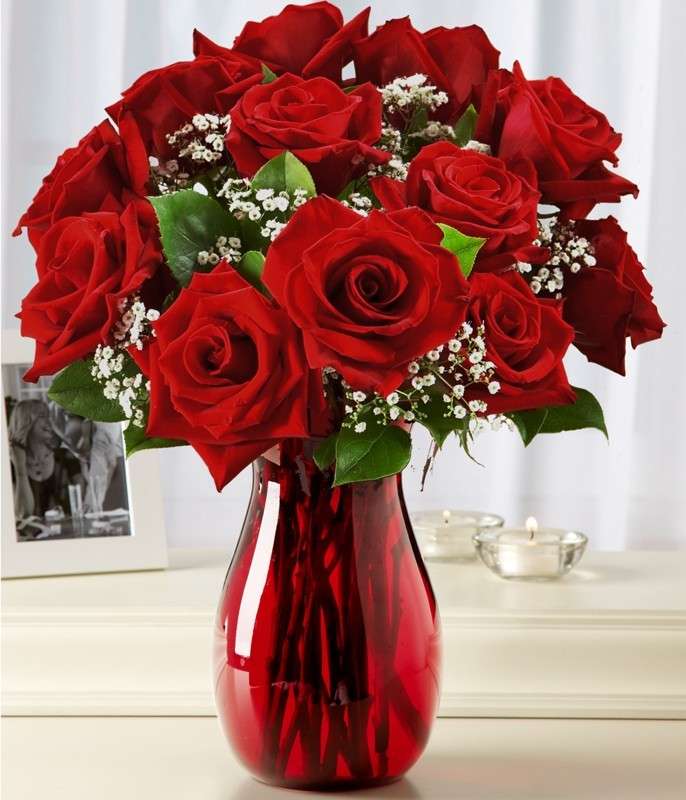 Rose rosse per la laurea