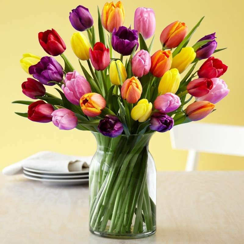 Tulipani colorati per la laurea