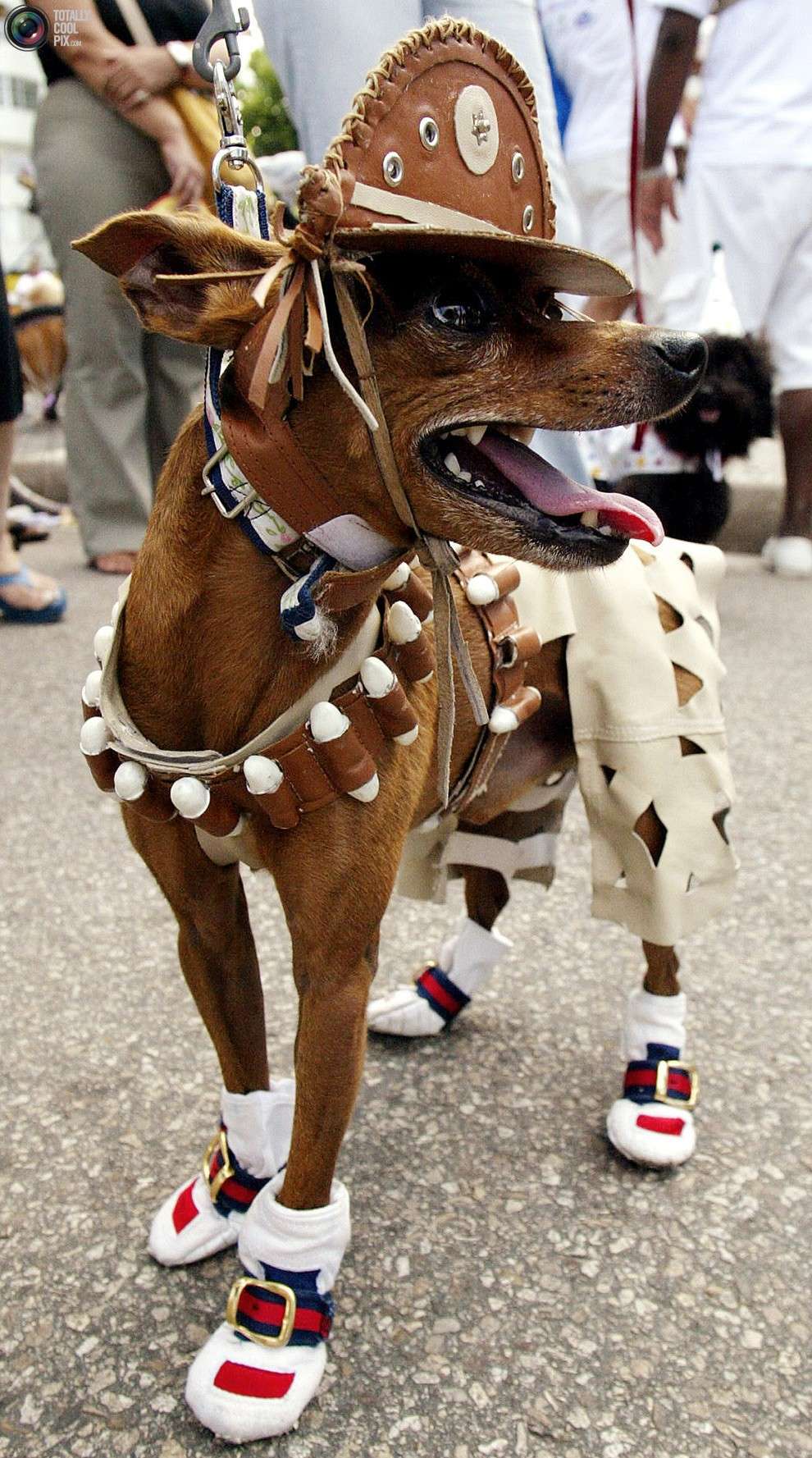 Abbigliamento da cowboy per cane