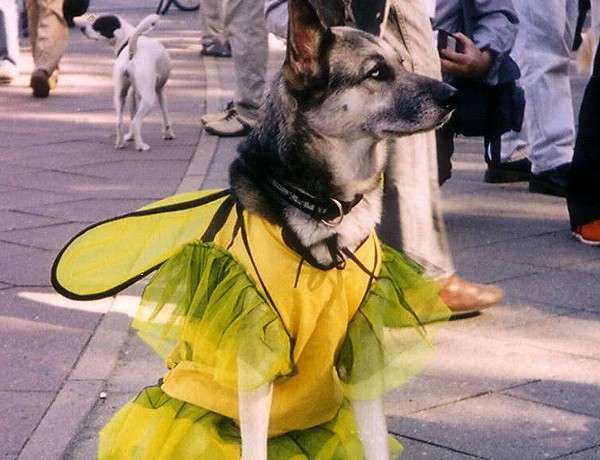 Abito giallo per Carnevale