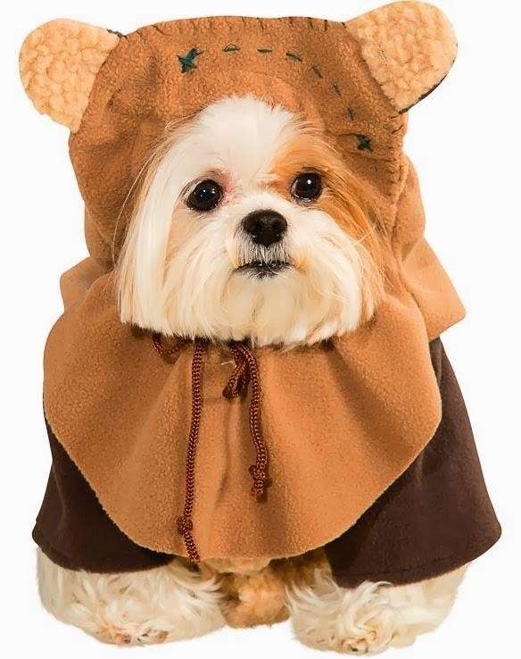 Cagnolino versione orsetto