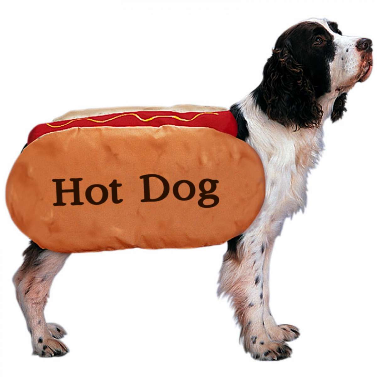 Cane hot dog