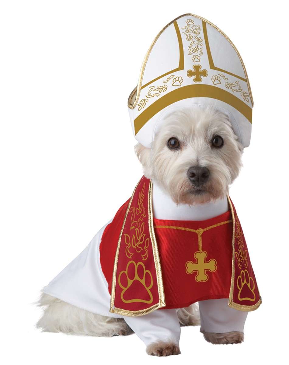 Cane in abito ecclesiastico