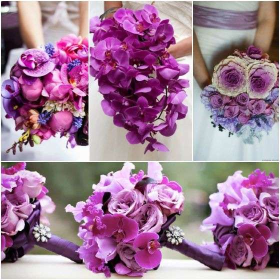 Composizioni radiant orchid