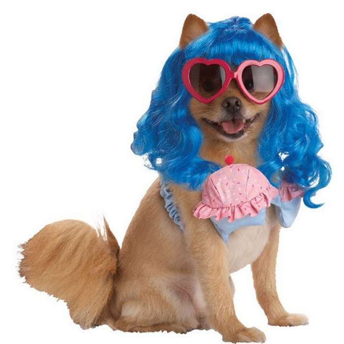 Costume colorato per cane