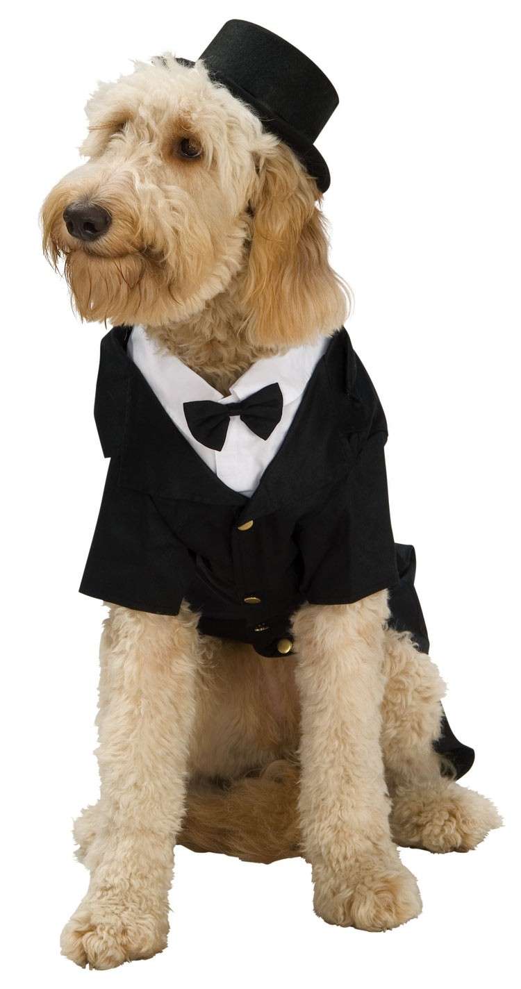 Eleganza per Carnevale