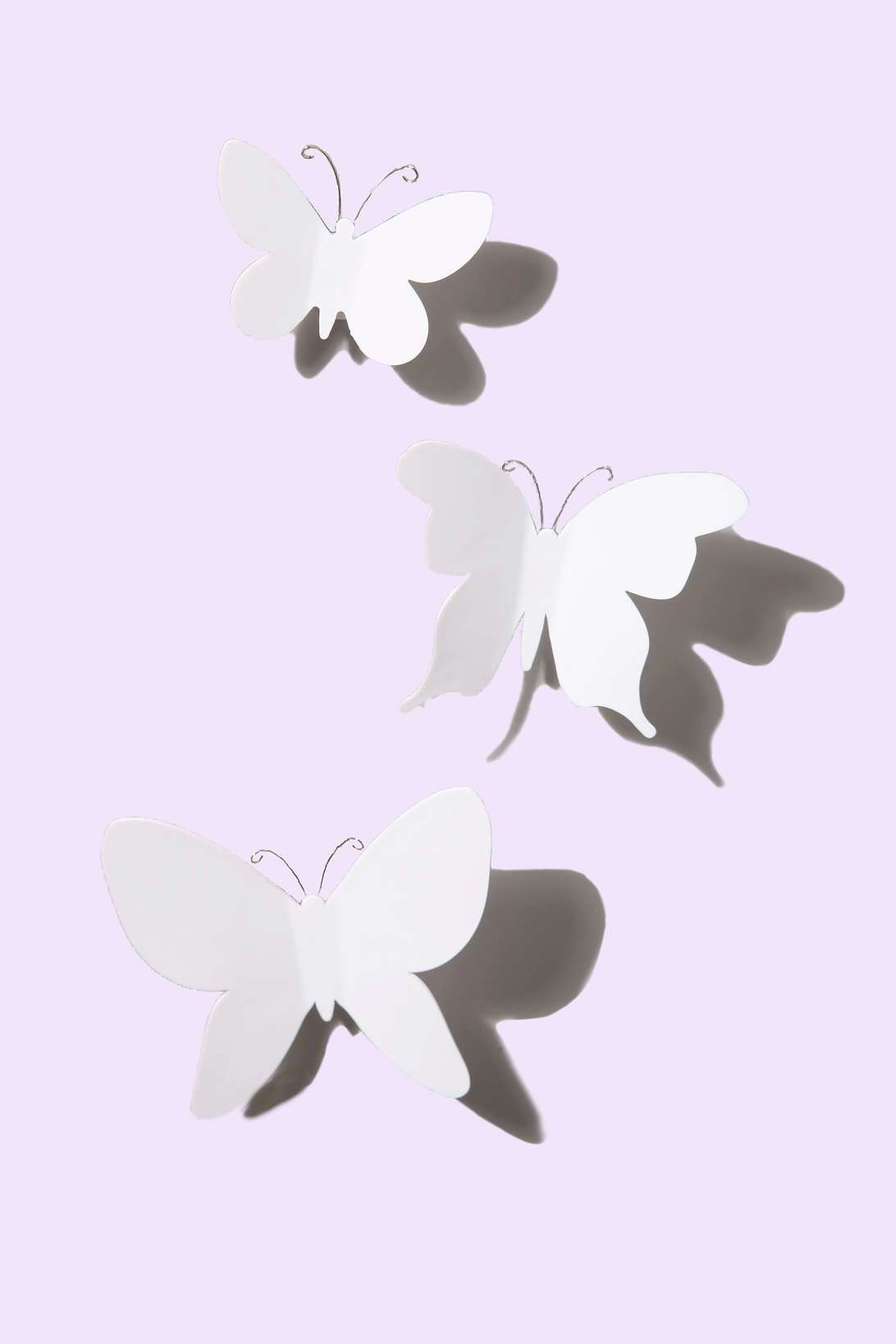 Farfalle