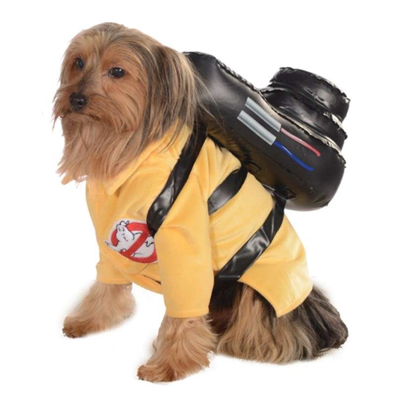 Ghostbuster versione cane