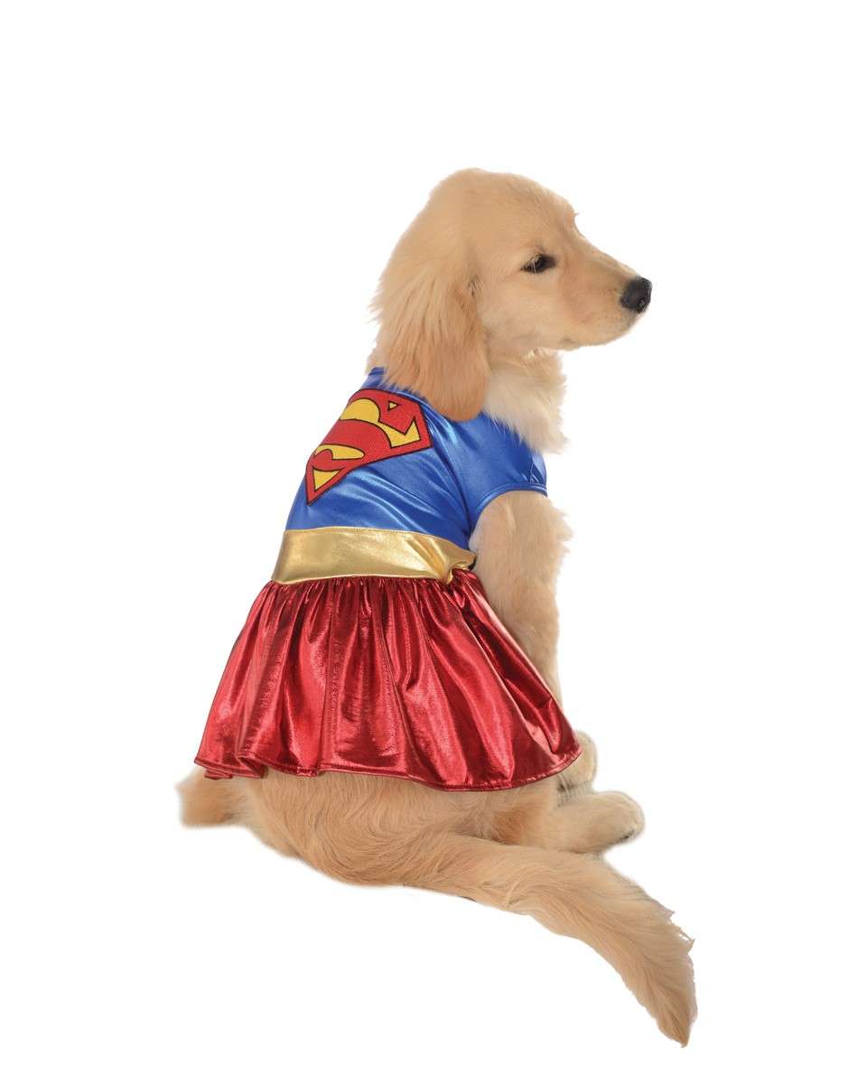 Labrador vestita da Superwoman