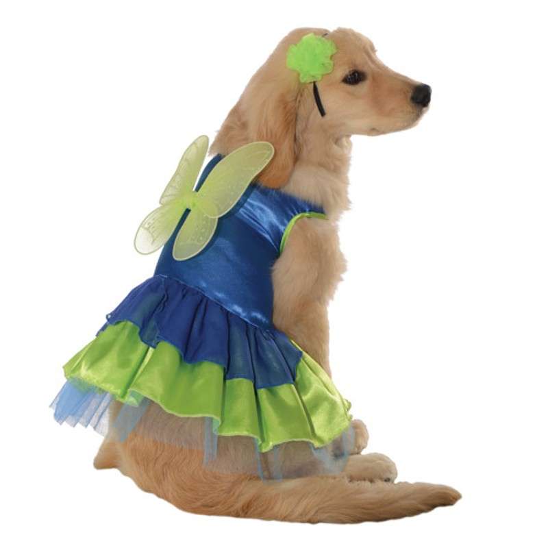 Labrador vestito da fatina