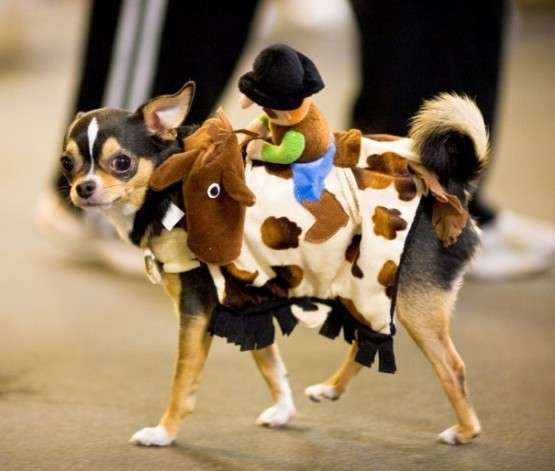 Pettorina da cowboy