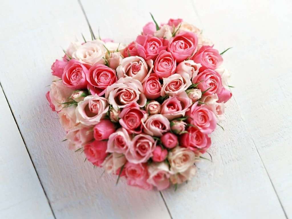 Rose a San Valentino