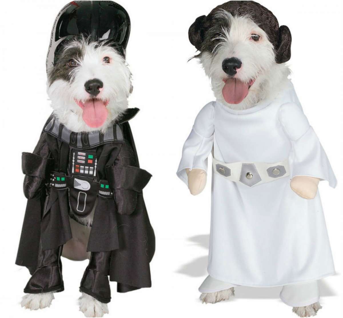 Star Wars in versione canina