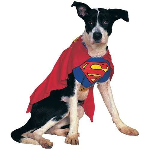 Superdog