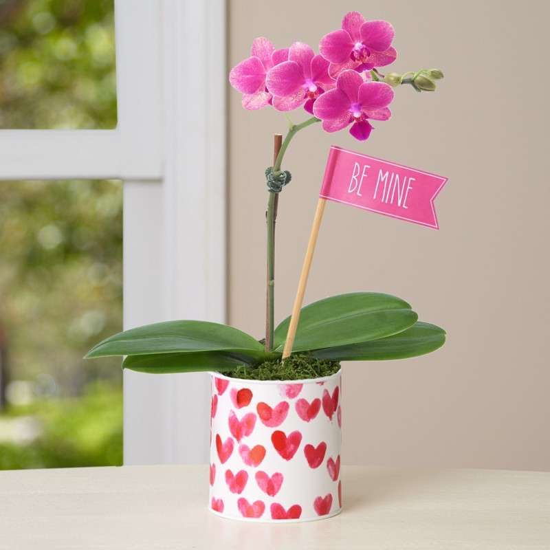 Vasetto decorato