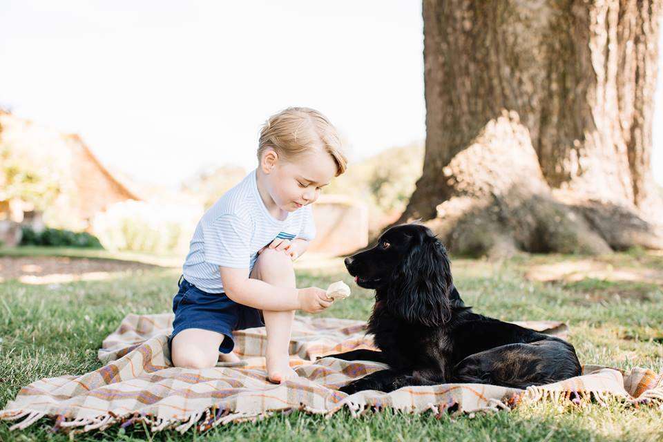 Il Royal Baby gioca con il cane Lupo