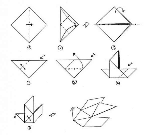 Schema della colomba