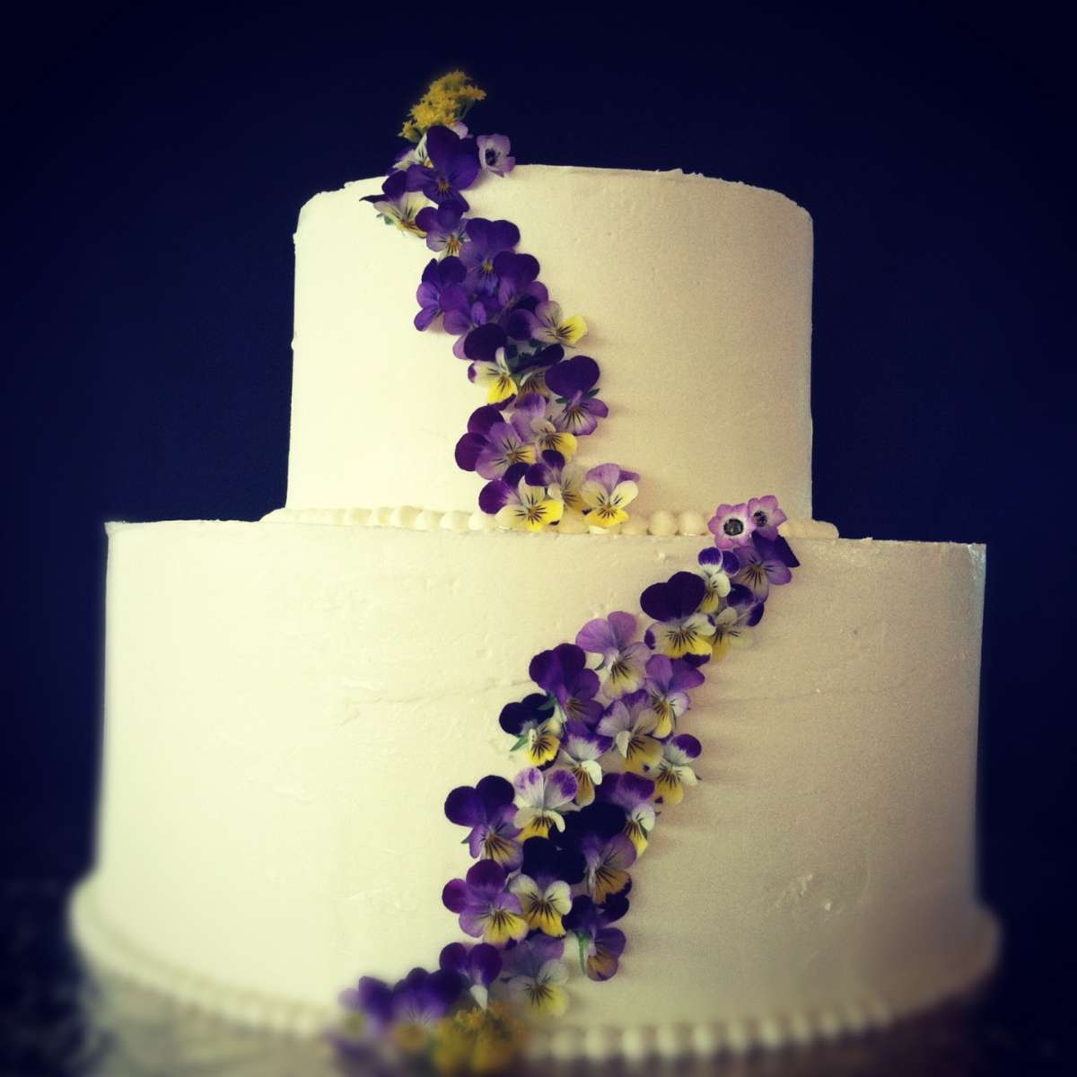 Torta semplice con fiori viola