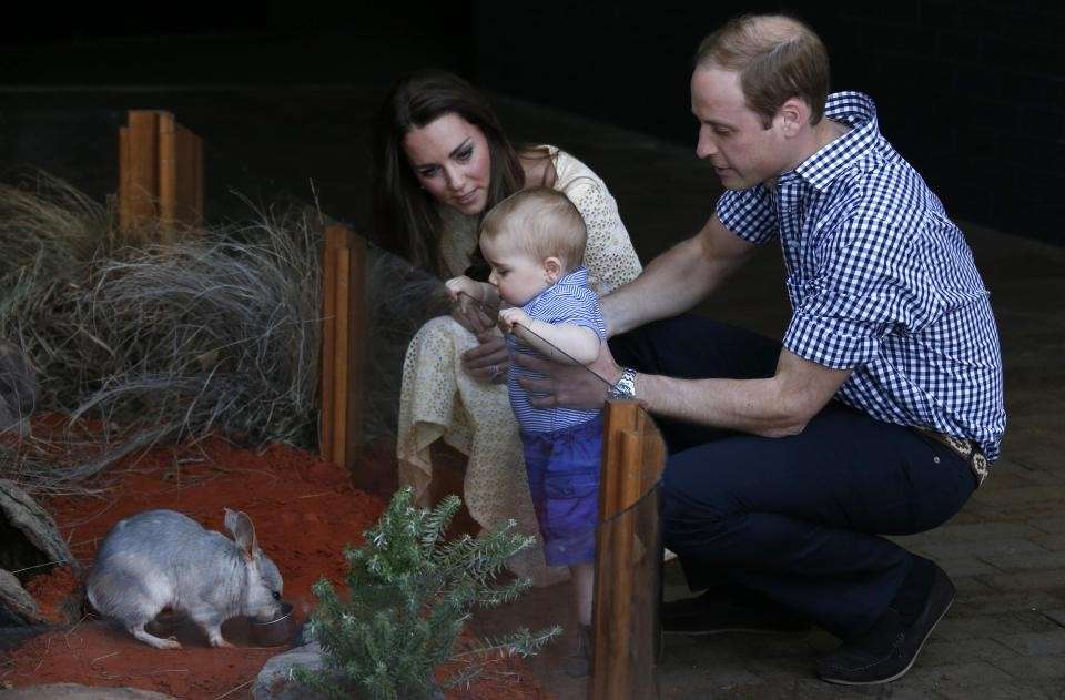William, Kate e George allo zoo