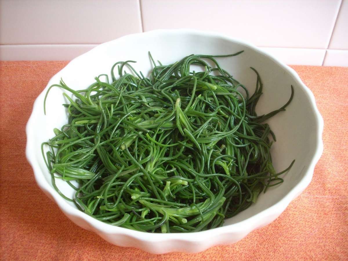 Agretti