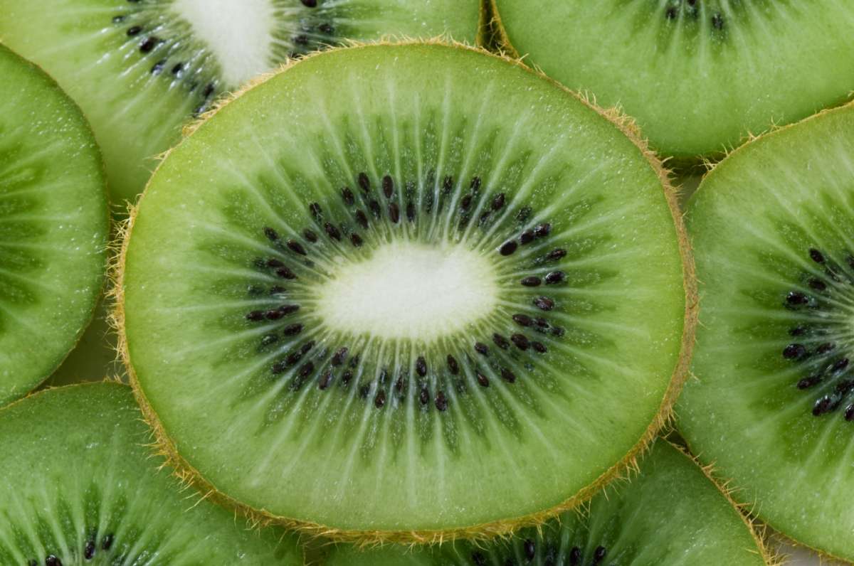 Kiwi