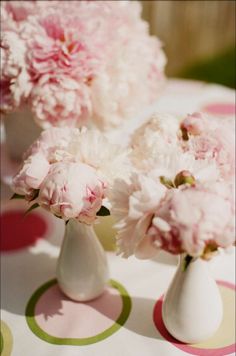 Le peonie romantiche e chic