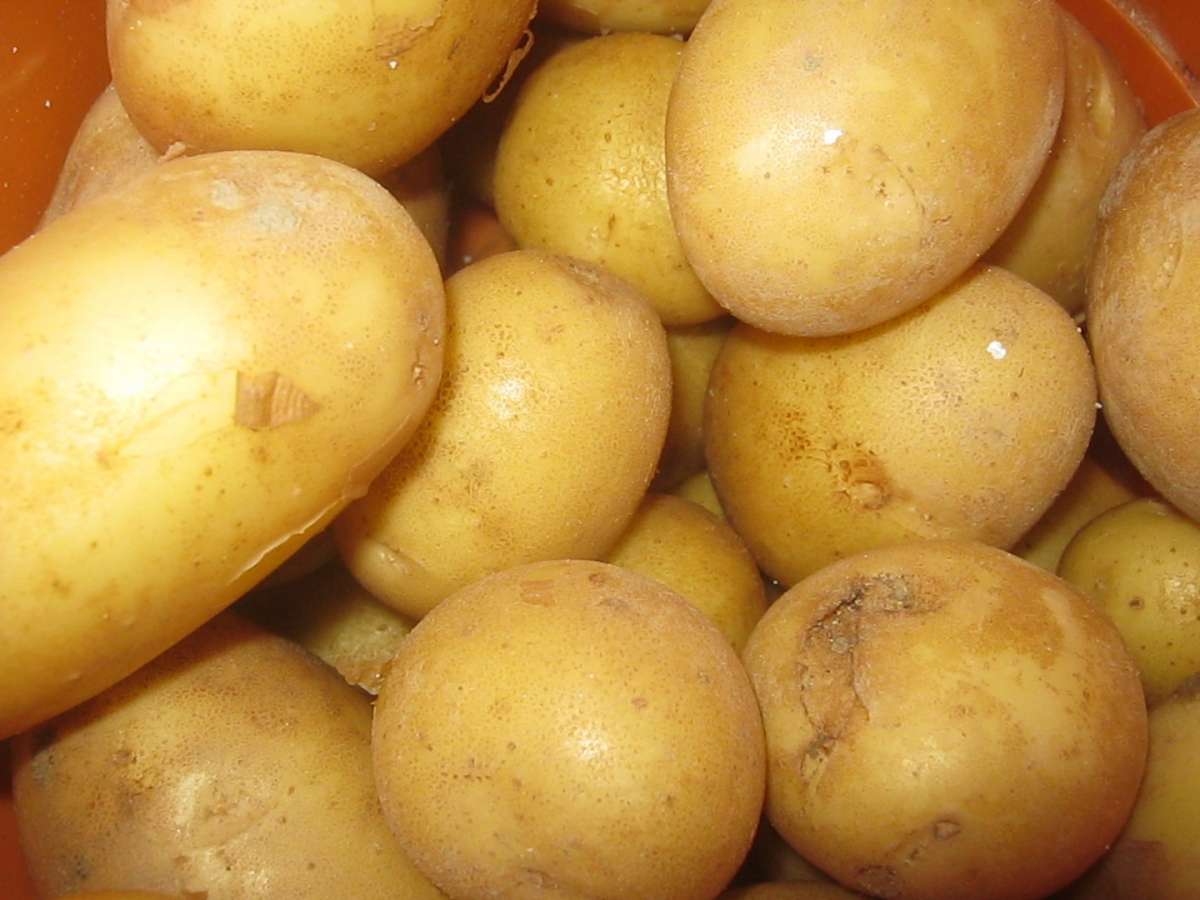 Patate novelle