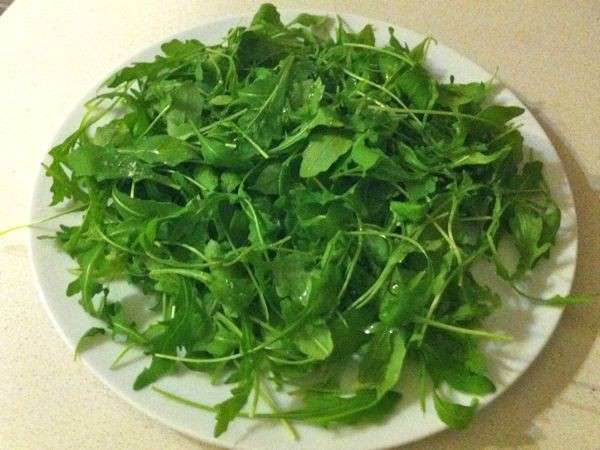 Rucola